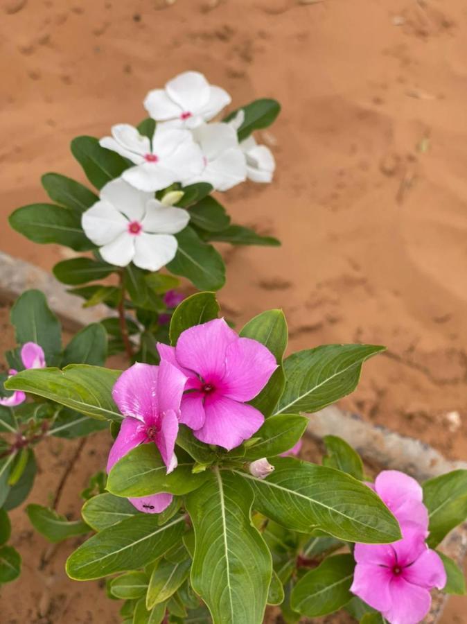 Отель Erg Chebbi Sahara Camp Мерзуга Экстерьер фото