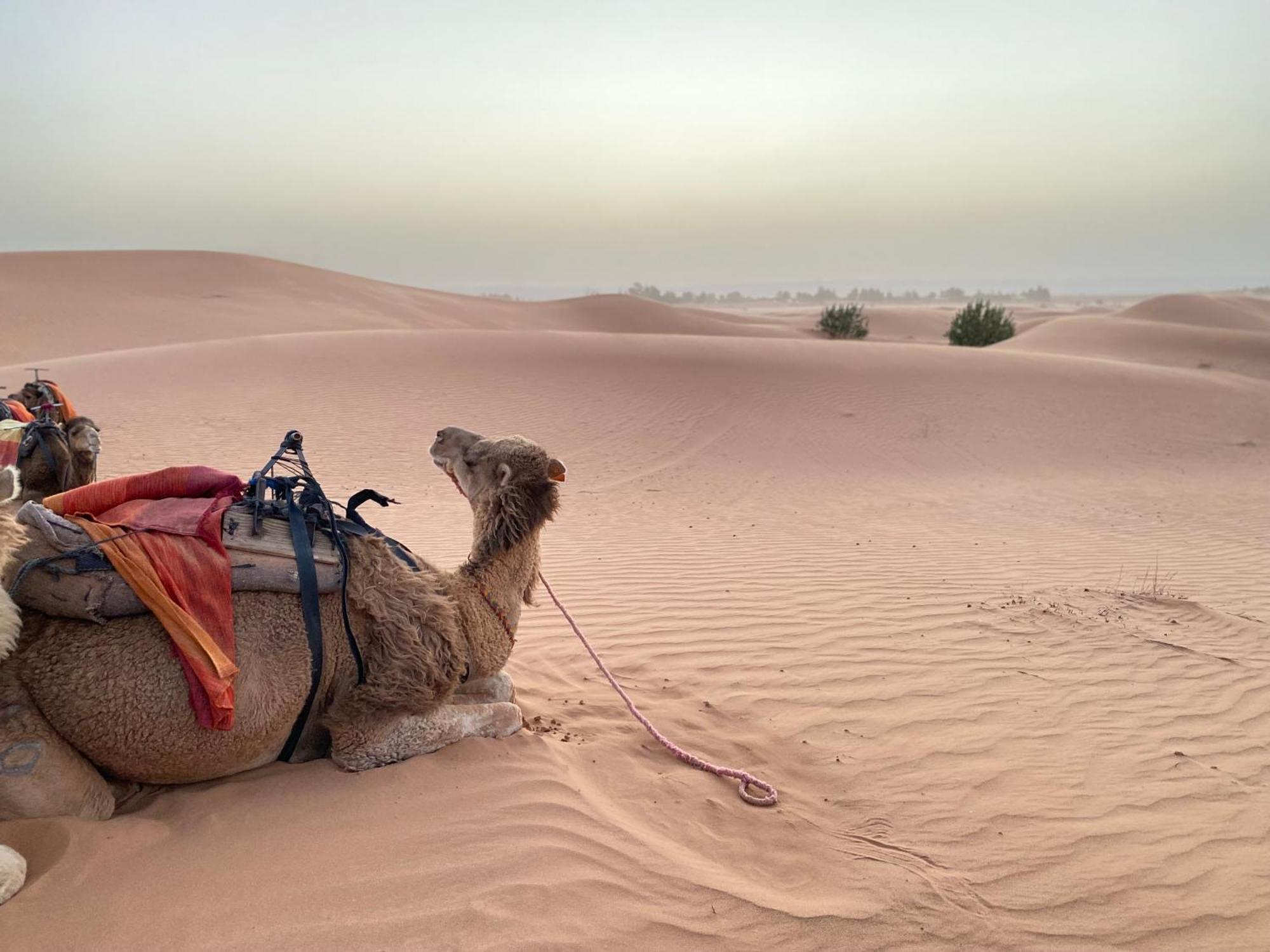 Отель Erg Chebbi Sahara Camp Мерзуга Экстерьер фото